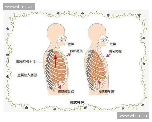 以呼吸控制为核心的心理调节与生理健康提升方法研究